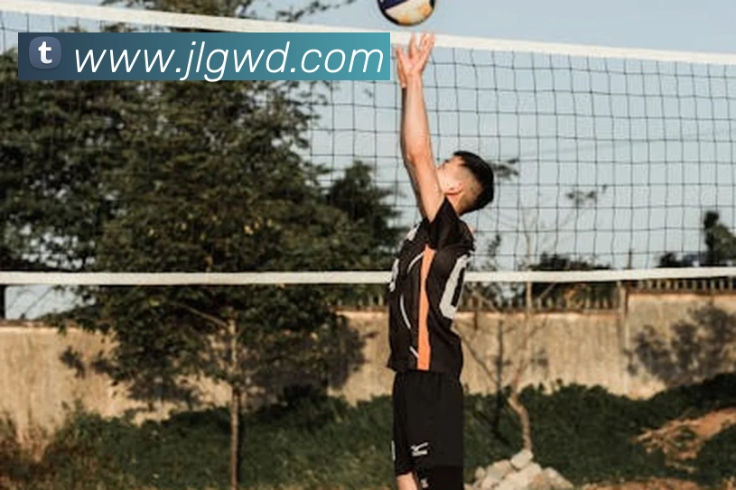 问鼎娱乐平台生态图